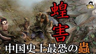 【ゆっくり解説】　蝗害の中国史　歴代王朝が恐れた、地上を覆う恐怖の大群　災害の中国史　【飛蝗　中国史】