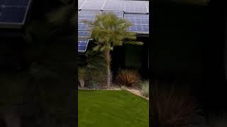 Energia fai da te gratis fotovoltaico 16 kW Easun Power inverter ibrido monofase #technology #tech