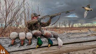 UNEXPECTED Duck Limit on A Goose Hunt! | Hunting Over a TINY Spread