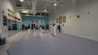 Poomsae with Master Phan