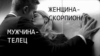 ЖЕНЩИНА СКОРПИОН И МУЖЧИНА ТЕЛЕЦ: СОВМЕСТИМОСТЬ