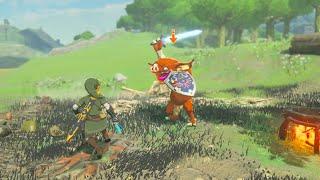 A New HERO OF HYRULE In Zelda Breath Of The Wild