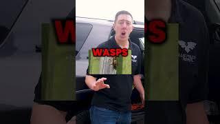 Why YOU need a Wasp Spray on your vehicle... #drone #lidar #toyota