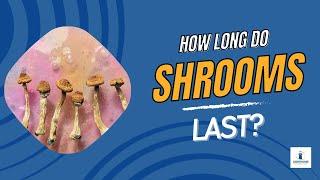 How Long Do Shrooms Last?