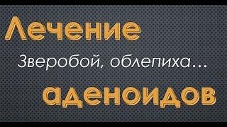 Как лечить аденоиды народными средствами