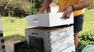 How I Add Honey Supers to Beehives | Hobbyist Beekeeping | Black Locust Flow