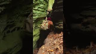 Take 1 Minute out of your day to join an overweight man strolling through the forest #hiking #calm