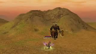 Silkroad Online Complete Inventory Expansion Quest Guide