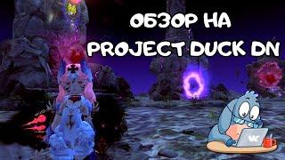 Обзор на ProjectDuckDN