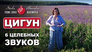 Цигун 6 Целительных Звуков все упражнения