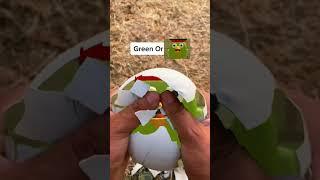 Green or chicken gun