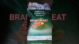 sabse brand wheat seed.#SHRIRAM SUPER 303.#@sabka baap.#video#viral#short.