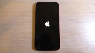 iPhone 13 Bootanimation