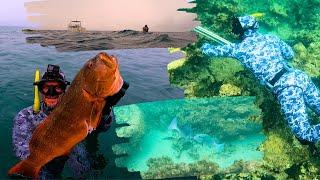 Spearfishing Australia - Coral Trout Catch and Cook