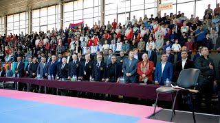 European Championship Live Stream Opening and Final, Interesting moments