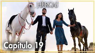 Hercai Capítulo 19