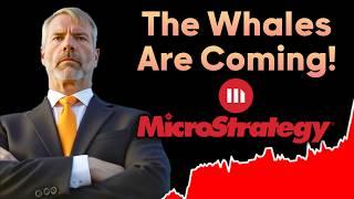 MicroStrategy Today (MST: The Whales are coming for Michael Saylor!