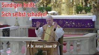 Sündigen heißt sich selbst schaden! - P. Dr. Anton Lässer CP