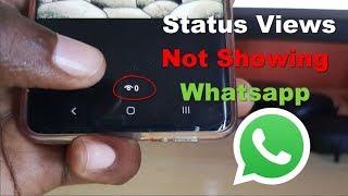 Status Views Not Showing Whatsapp Fix