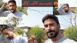 Eating World's Spiciest Mirchi  || Nikling Pichhwade Se Dhuann