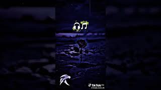 3 March 2025