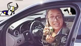Restricted License Idiot Arrested for the Dumbest Reason
