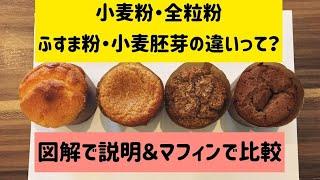 小麦粉・全粒粉・ふすま粉・小麦胚芽の違いは？マフィンを作って味・食感の比較をしてみた