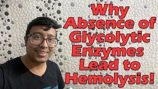 Why deficiency of glycolytic enzymes lead to  hemolysis!