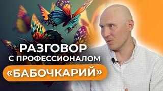 Ферма бабочек или бабочкарий? Как построить успешный бизнес на выведении бабочек? Новое интервью