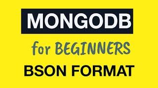 MongoDB Tutorial for Absolute Beginners :  12 How Documents are stored in the Database?  BSON Format