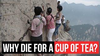 10 Most Extreme restaurants in the World | Simbly Curious