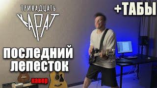 тринадцать карат - последний лепесток (guitar cover) табы аккорды