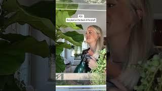 Oopsie  #houseplant #indoorplants #fyp #reels #shorts #funny #viralshort