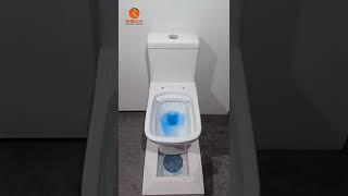 MODEL : RIPON Siphonic Rimless ONE PIECE TOILET | SAW DUST TESTING