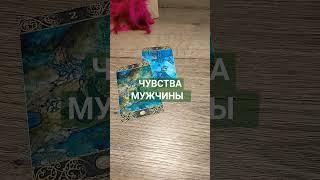 Таро. Чувства мужчины #фиоленттаро #таро #таросегодня #тароонлайн #tarot