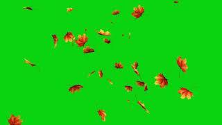 falling leaf green screen background video #leaf 3D HD FHD