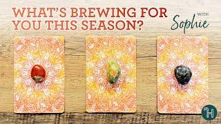 What’s brewing for you this season?  PICK-A-CARD THURSDAYS