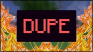 This Garden Dupe Glitch was REVEALED on the Hypixel Skyblock...