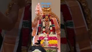 Kandha sasti Alangaram1st day#shorts#viral#trending#god#shortvideo#india#indian#trendingshorts#tamil