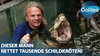 3000 gepanzerte Mitbewohner: Dieser Mann rettet tausende Schildkröten!