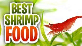 7 Of The Best Cherry Shrimp Food Options That Your Shrimp Will Love - What To Feed Cherry Shrimp!