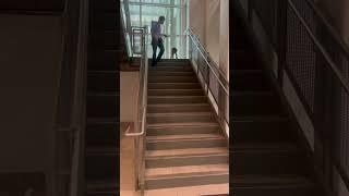 Real World Training: Wait at stairs