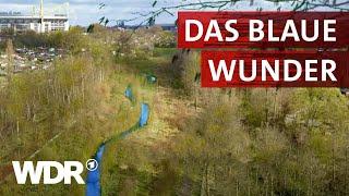 Die Emscher – Von der Kloake zum Naturparadies | Heimatflimmern | WDR