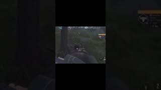 #hunting #cotw #thehuntercallofthewild #betang #diamond #gaming #rooster
