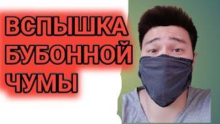 Бубонная чума | Бубонная чума в Монголии 2020 | Бубонная чума что это