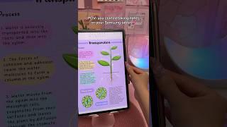 Digital note taking ️ Samsung galaxy tab S9+ | Penly android app | aesthetic study notes