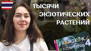 Международная ВЫСТАВКА-ПРОДАЖА растений в ТАИЛАНДЕ | International EXOTIC PLANTS show and sale 2024