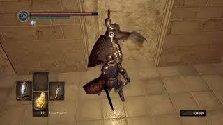 Silver Knight destroyed by Oscar of Astora - Dark Souls