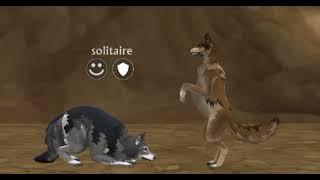 ••let-me-down-slowly• même wildcraft Sad••
