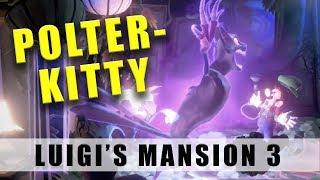 Luigi's Mansion 3 how to catch and beat Polterkitty